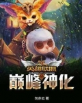 英雄联盟之巅峰神话