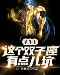 圣斗士这个双子座有点儿坑免费阅读