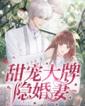 隐婚甜宠 小说