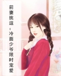 冷面总裁前妻要抱抱
