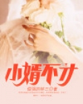 小婿不才什么意思