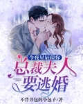 今夜星辰似你：总裁夫人要逃婚