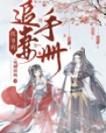 侯爷的追妻手册