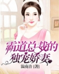 霸道总裁的独宠娇妻视频