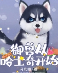 御兽从哈士奇开始