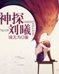 神探刘曦