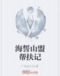 海誓山盟帮扶记怎么写