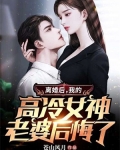 离婚后,我的高冷女神老婆后悔了