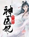 特工嫡女神医妃