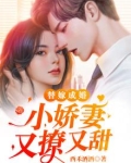 替嫁成婚：小娇妻又撩又甜
