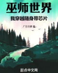巫师世界，我穿越随身带芯片