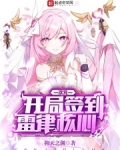 次元:开局签到雷律核心 小说