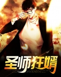狂婿医圣 小说