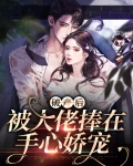 大佬破产后缠上我了 小说