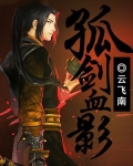 孤剑血影