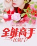 全能高手全文阅读