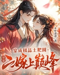 穿成极品土肥圆，带崽二嫁上巅峰