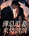 薄总追妻路漫漫