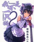我像一只猫