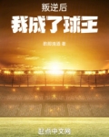 叛逆后,我成了球王笔趣阁