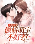 总裁专宠:傲娇萌宝不好惹小说