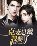 克妻总裁老婆我只宠你 小说