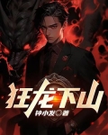 狂龙下山我是国手仙医