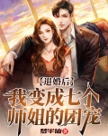 退婚后,七个哥哥为我摘星星摘月亮小说