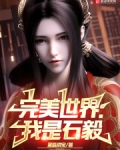 完美世界:我是石毅 小说