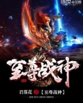 叶凡至尊战神