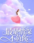 最是情深不负你完整版