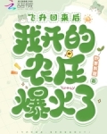 飞升回来后,我开的农庄爆火了