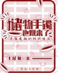 储物手镯也跟来了 作者:十尾兔