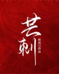 芒刺沈安安po笔趣阁
