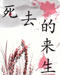 电视剧死去生来