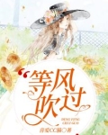 等风吹过