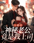 闪婚神秘老公哪一章是在酒店的真相