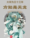 大宋为王十三年，方知是天龙