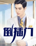 倒插门小说免费阅读