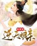 逆天娘亲帅爹爹txt