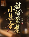小县令被迫登基（基建）