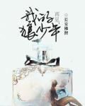 再见,我的狼少年是什么歌