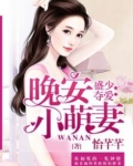 盛少夺爱:晚安小萌妻