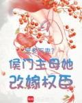 宠妾灭妻侯门主母她改嫁权臣