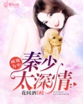 画地为牢：秦少太深情