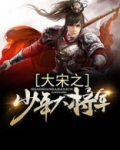 大宋之少年大将军