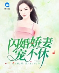 闪婚娇妻二爷求放过电视剧在线观看