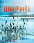重生之山村小村长TXT下载80