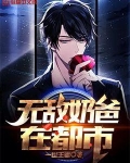 无敌奶爸在都市林夜