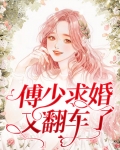 傅少追妻上隐了免费阅读